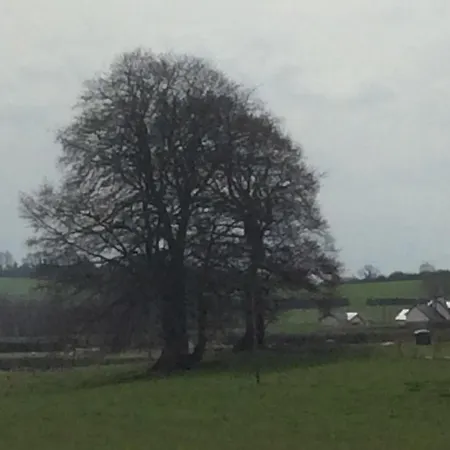 Rathgillen Ferienhaus